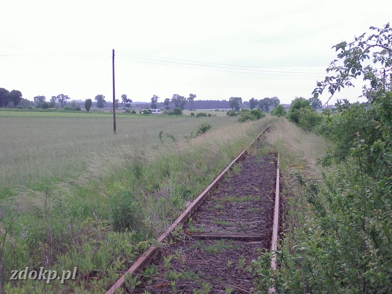 2005-06-06.074 popowo- miescisko ok. 15,5km widok w kier popowa.JPG - linia Janowiec Wielkopolski - Skoki, ok. 15.5 km, widok w kierunku Popowa Kocielnego.